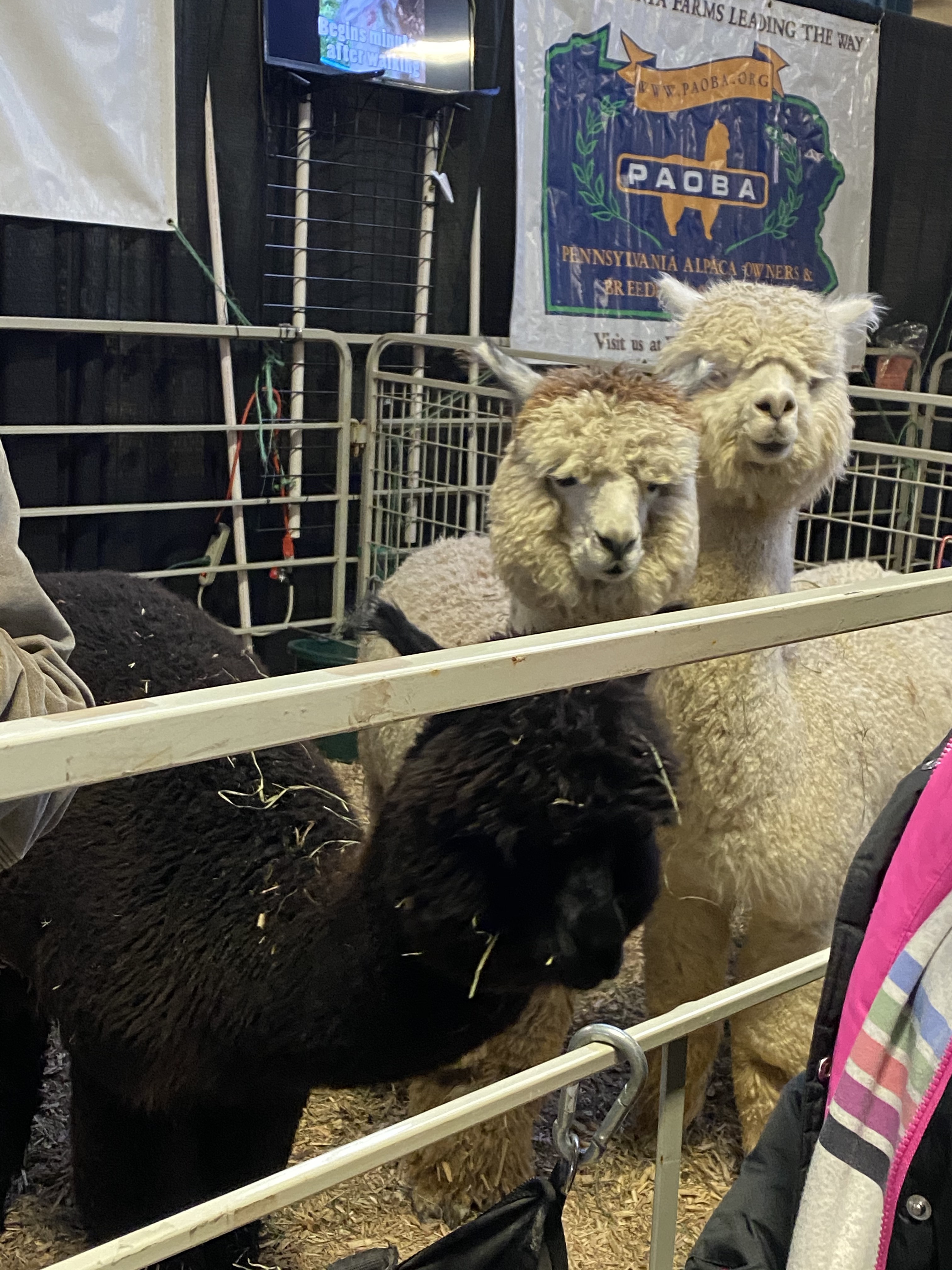 RuAvkF4qRiedSOb4rd6h9Q